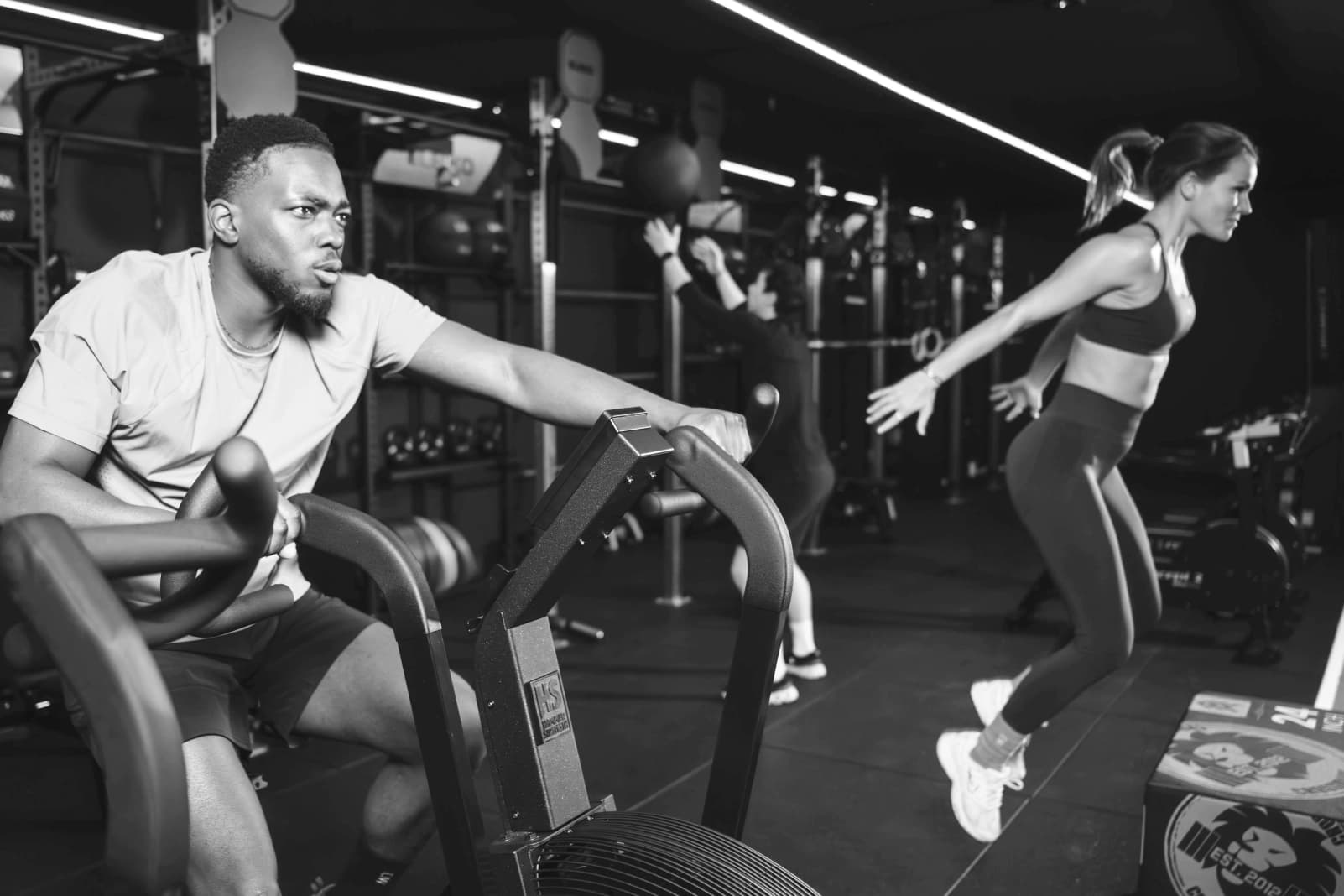 Split text - WOD - desktop (1)